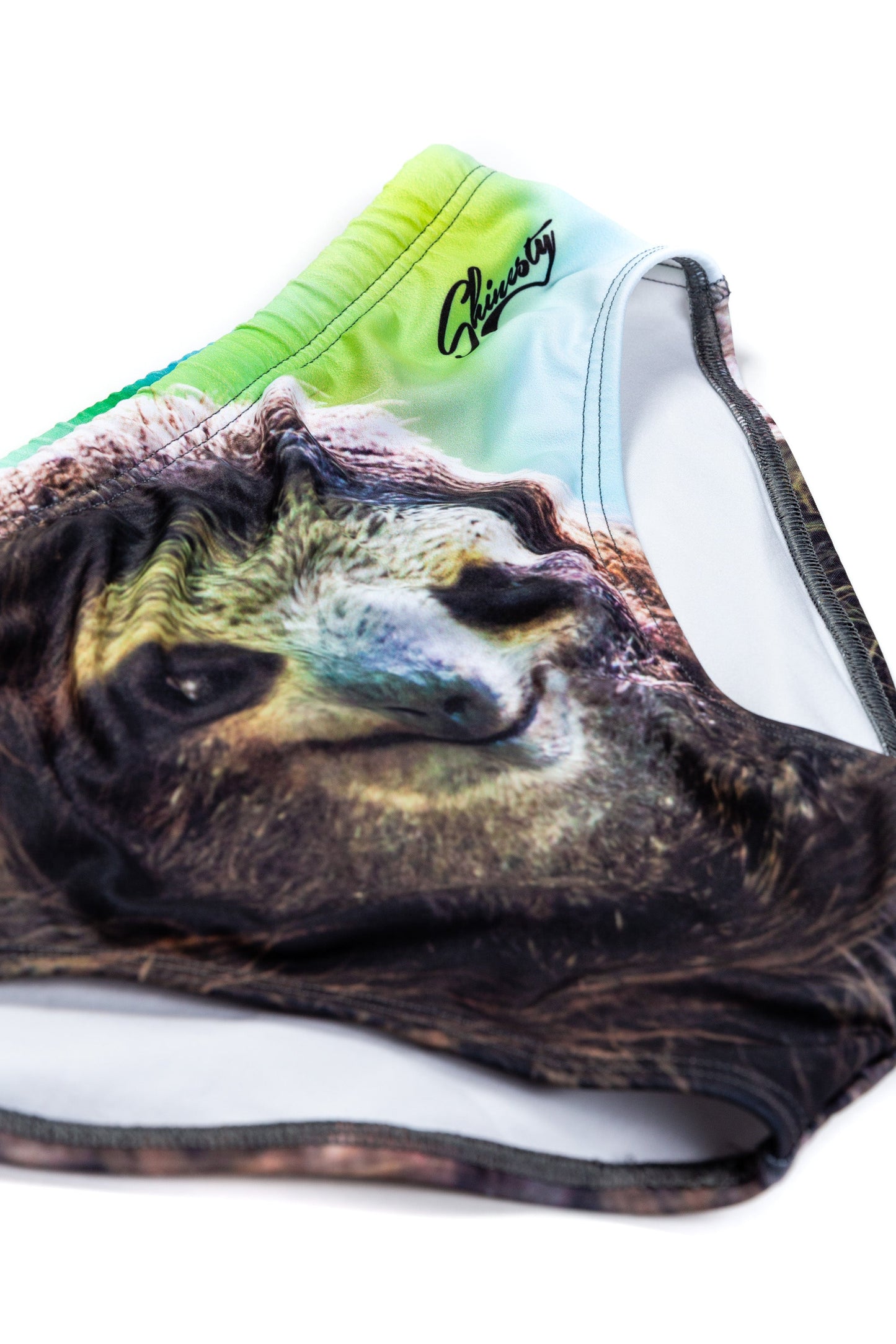  The Quick And Sexy Sloth | Men's Swim Brief