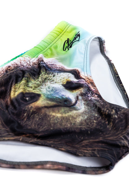  The Quick And Sexy Sloth | Men's Swim Brief