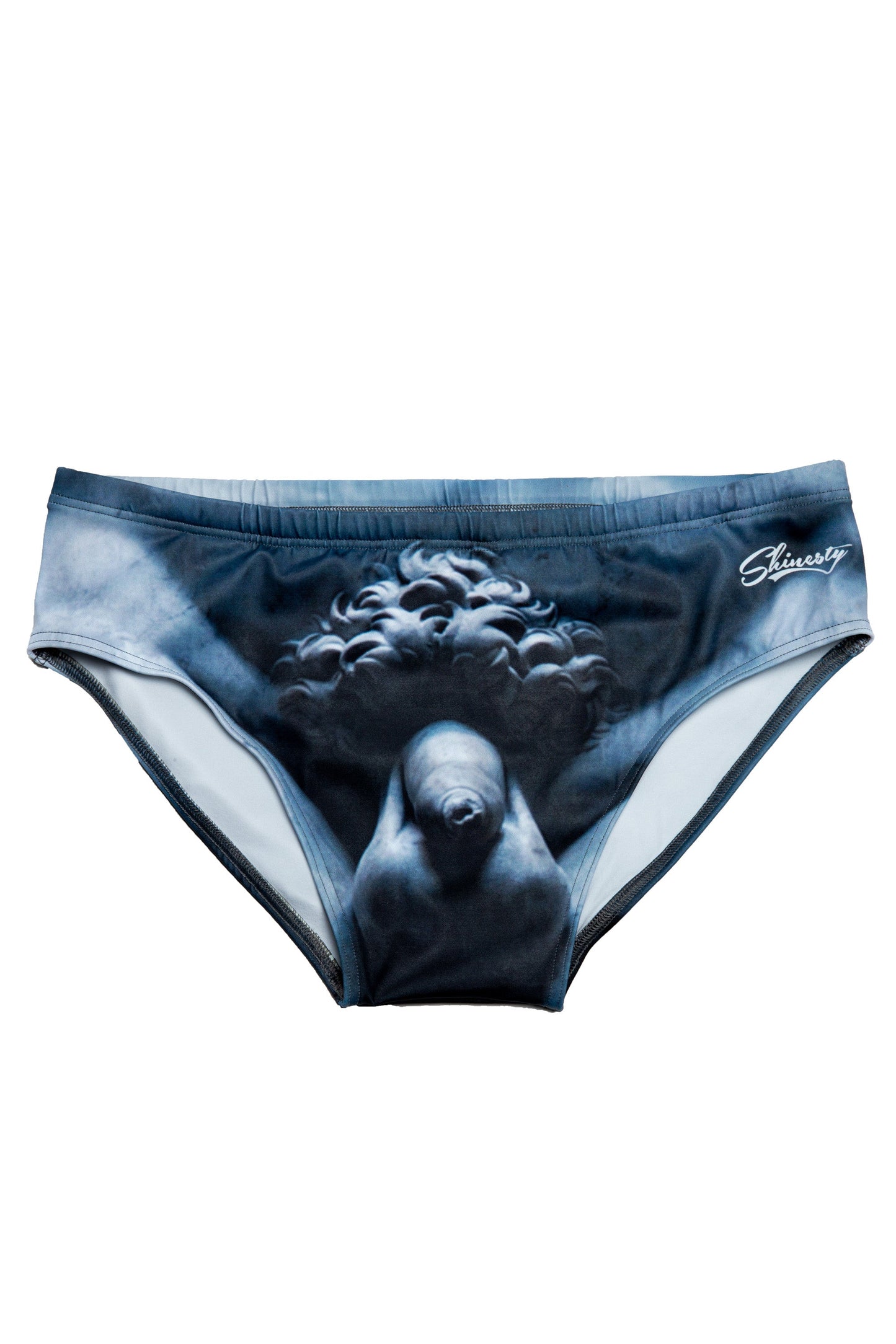  The Statue Of David | David Swim Brief