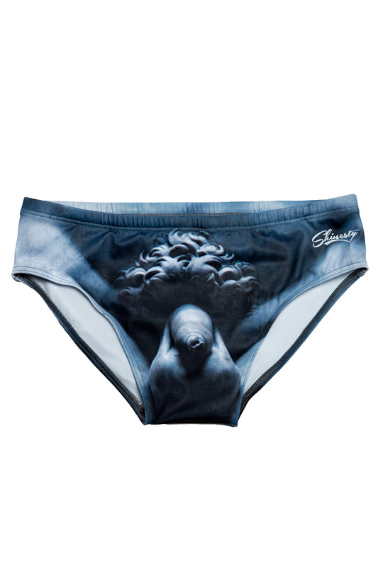 The Statue Of David | David Swim Brief