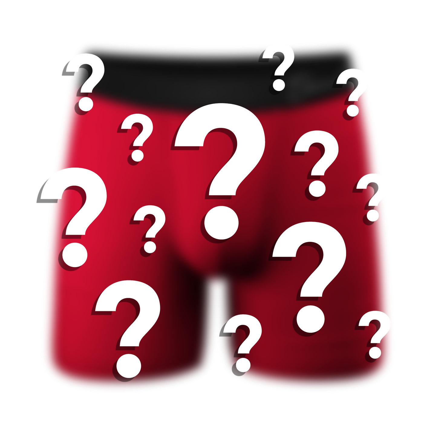  The Mystery Boxer | Surprise Ball Hammock® Pouch Underwear With Fly