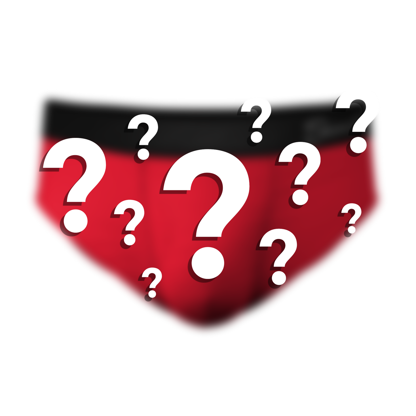  The Mystery Brief | Surprise Ball Hammock® Pouch Underwear Briefs