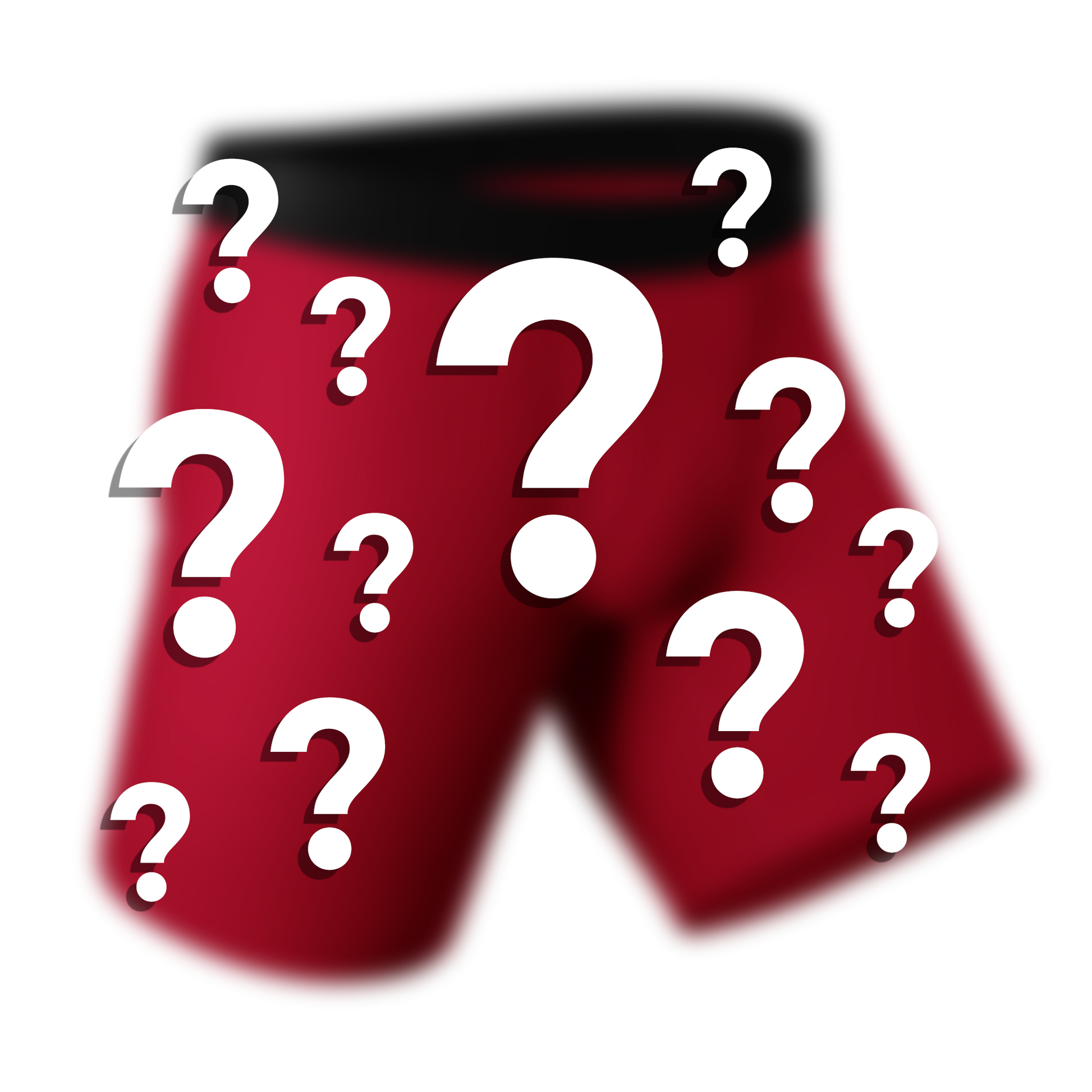  The Mystery Long Boxer | Surprise Long Leg Ball Hammock® Pouch Underwear With Fly